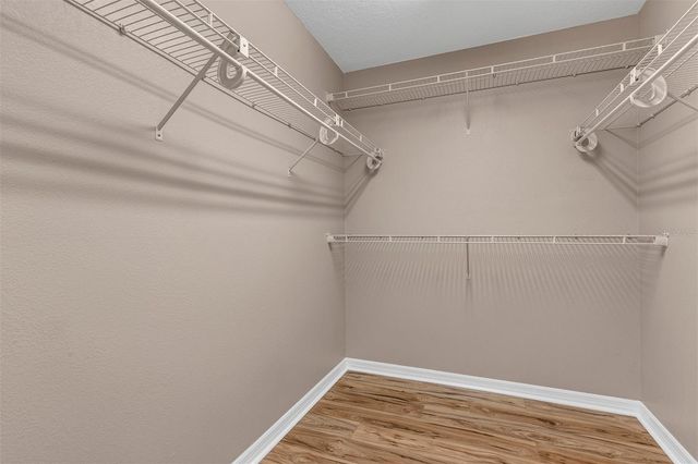 438 REED GRASS DRIVE, Oviedo, FL 32765