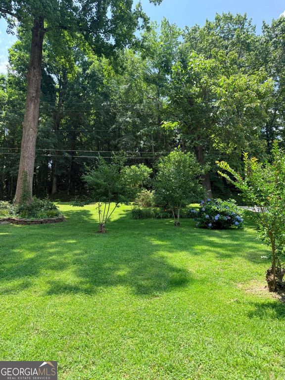 314 Spring Street, Toccoa, GA 30577 — photo 5
