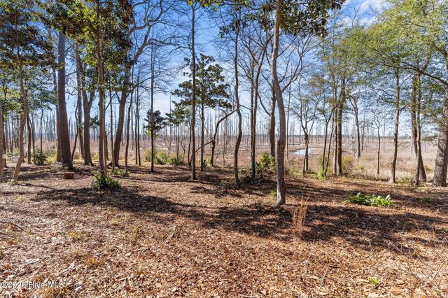 1405 Ness Drive, Castle Hayne, NC 28429