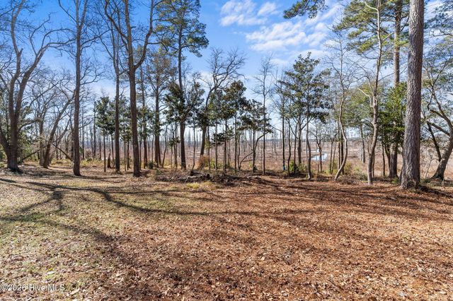 1405 Ness Drive, Castle Hayne, NC 28429