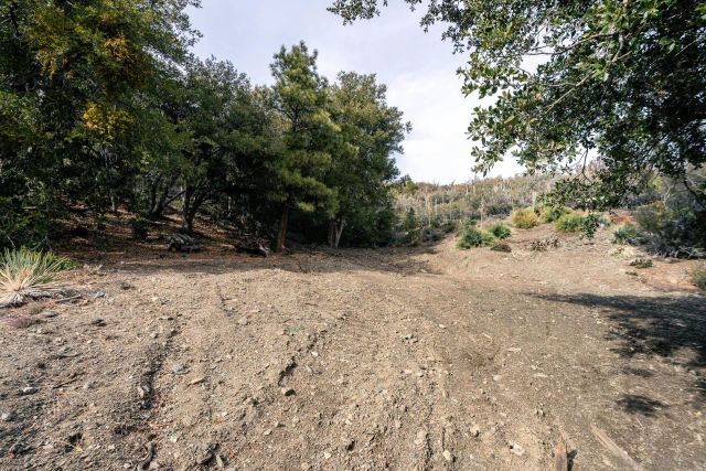 0 Timberline Dr 20, Wrightwood, CA 92397