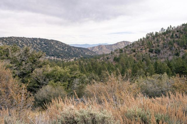 0 Timberline Dr 20, Wrightwood, CA 92397