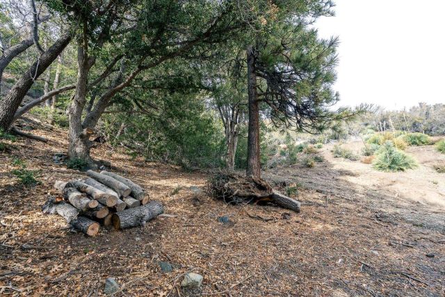 0 Timberline Dr 20, Wrightwood, CA 92397