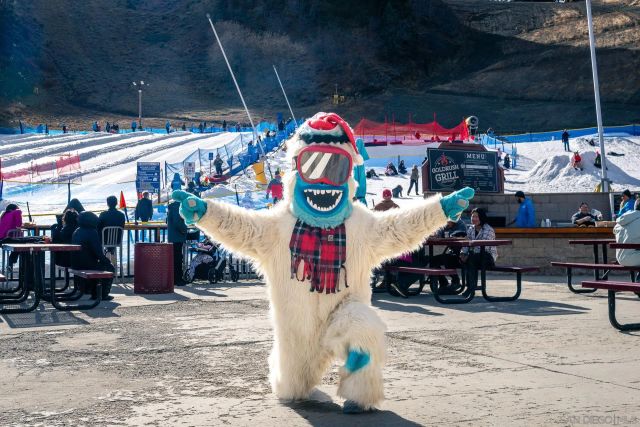 0 Timberline Dr 20, Wrightwood, CA 92397