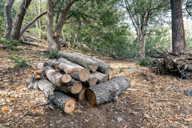 0 Timberline Dr 20, Wrightwood, CA 92397