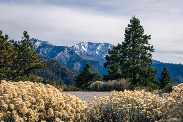 0 Timberline Dr 20, Wrightwood, CA 92397