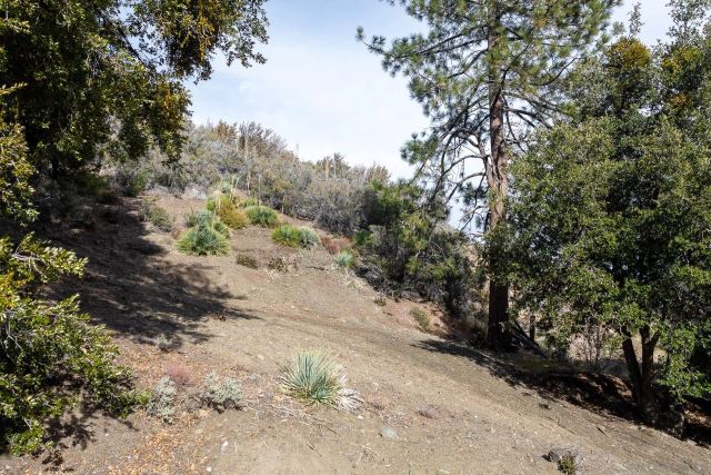 0 Timberline Dr 20, Wrightwood, CA 92397