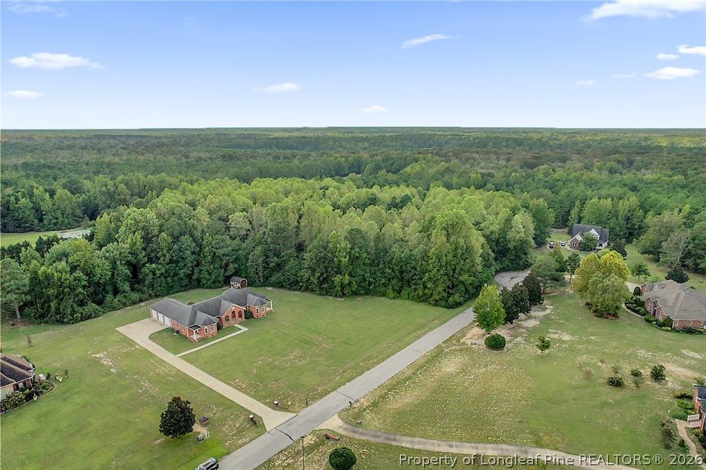 251 Water Ridge Lane, Stedman, NC 28391 — exterior