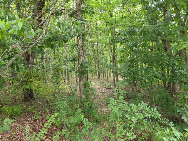 2006 Big Deer Run, West Plains, MO 65775