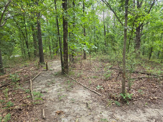 2006 Big Deer Run, West Plains, MO 65775