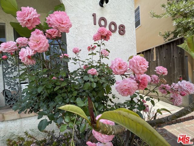 1008 17th Street 2, Santa Monica, CA 90403