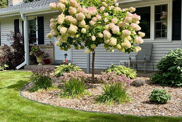 2974 Howard Street N, Maplewood, MN 55109