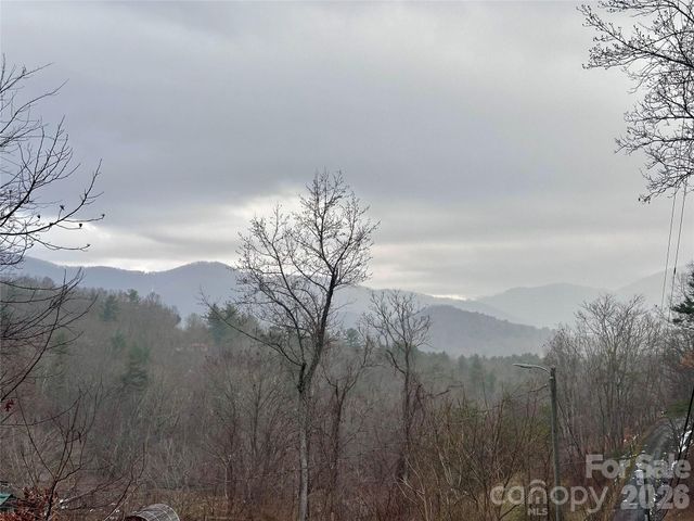224 Riddle Road, Swannanoa, NC 28778