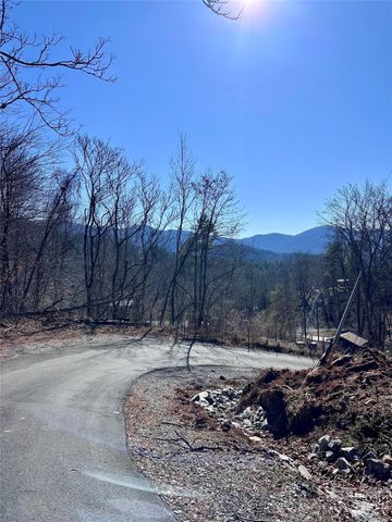 224 Riddle Road, Swannanoa, NC 28778