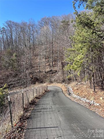 224 Riddle Road, Swannanoa, NC 28778