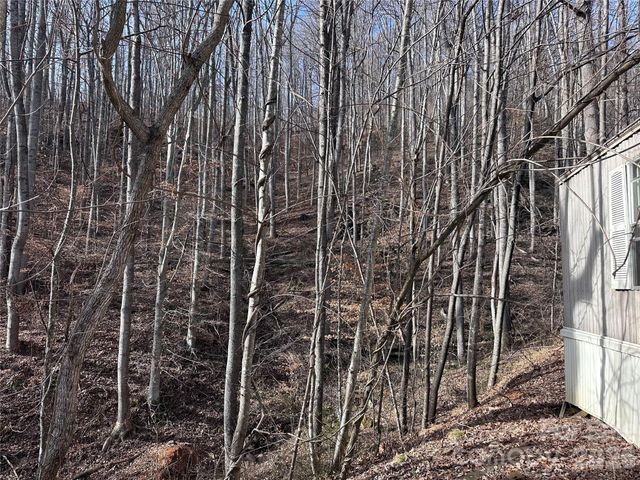 224 Riddle Road, Swannanoa, NC 28778