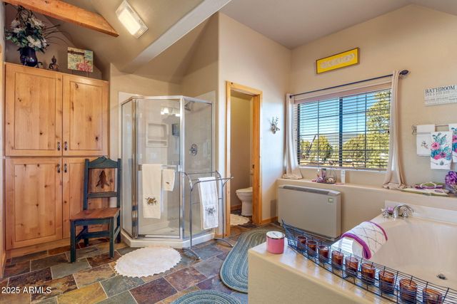 2337 PUMA Circle, Overgaard, AZ 85933