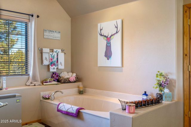 2337 PUMA Circle, Overgaard, AZ 85933