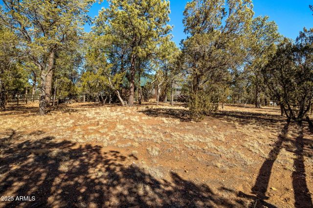 2337 PUMA Circle, Overgaard, AZ 85933