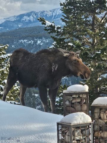 176 Game Trail Road, Bozeman, MT 59715