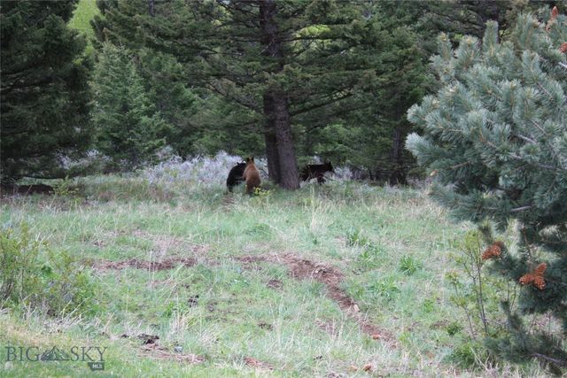 176 Game Trail Road, Bozeman, MT 59715