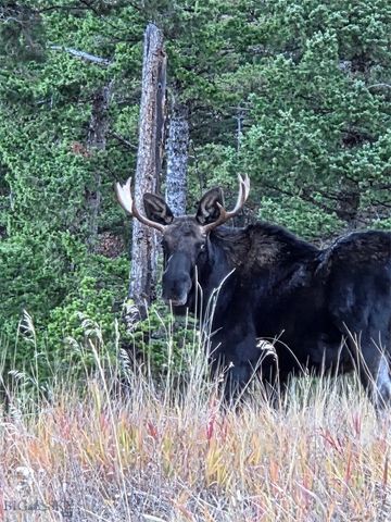 176 Game Trail Road, Bozeman, MT 59715