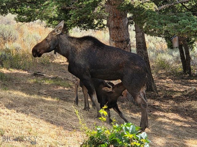 176 Game Trail Road, Bozeman, MT 59715