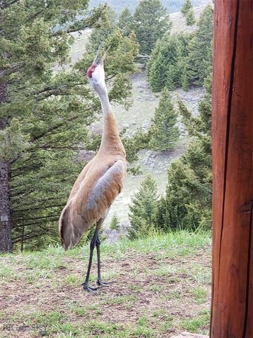 176 Game Trail Road, Bozeman, MT 59715