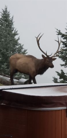 176 Game Trail Road, Bozeman, MT 59715