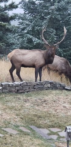 176 Game Trail Road, Bozeman, MT 59715