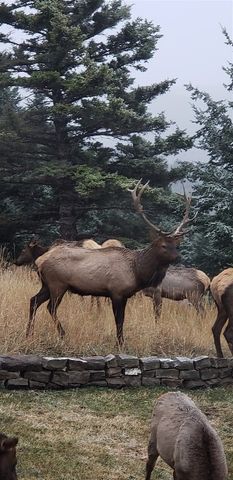 176 Game Trail Road, Bozeman, MT 59715