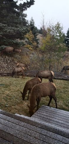 176 Game Trail Road, Bozeman, MT 59715