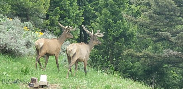 176 Game Trail Road, Bozeman, MT 59715