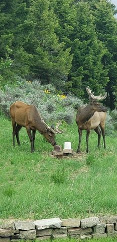 176 Game Trail Road, Bozeman, MT 59715