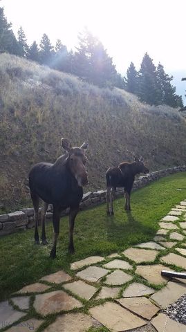 176 Game Trail Road, Bozeman, MT 59715