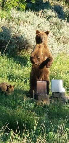 176 Game Trail Road, Bozeman, MT 59715