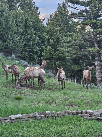 176 Game Trail Road, Bozeman, MT 59715