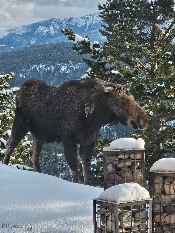 176 Game Trail Road, Bozeman, MT 59715 photo 54