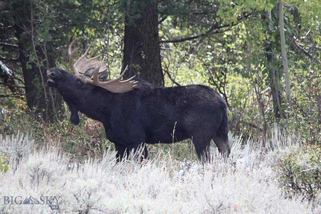 176 Game Trail Road, Bozeman, MT 59715 photo 56
