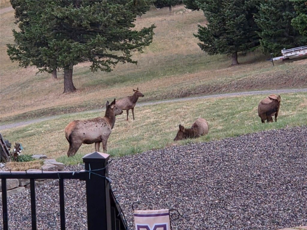 176 Game Trail Road, Bozeman, MT 59715 photo 59