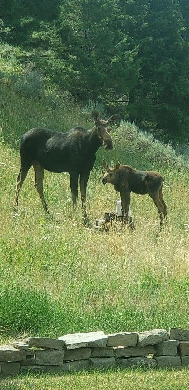 176 Game Trail Road, Bozeman, MT 59715 photo 65