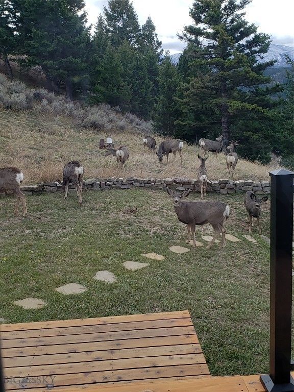 176 Game Trail Road, Bozeman, MT 59715 photo 66