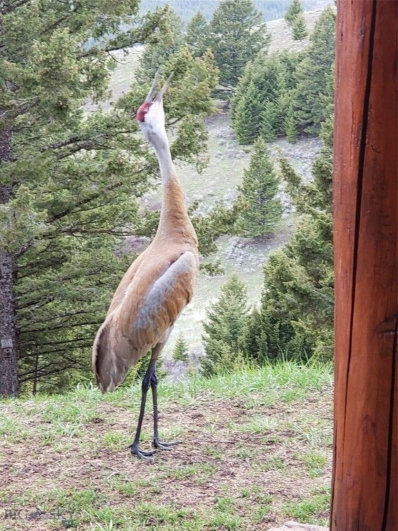 176 Game Trail Road, Bozeman, MT 59715 photo 67