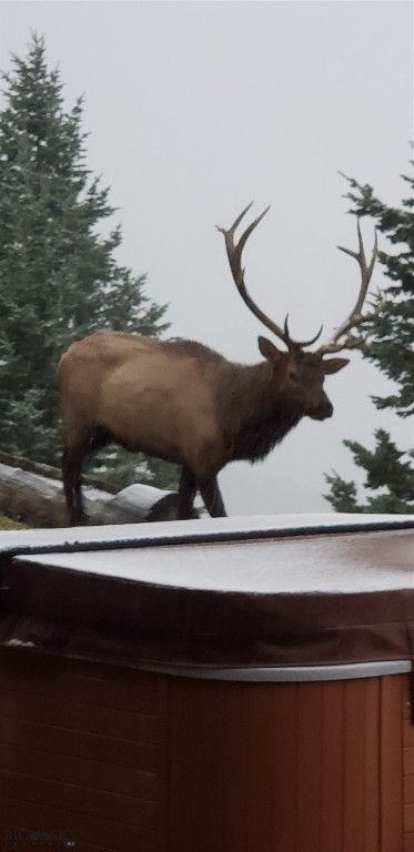 176 Game Trail Road, Bozeman, MT 59715 photo 68