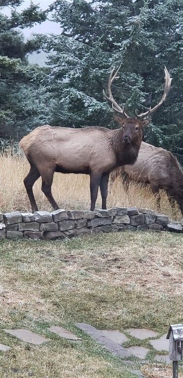 176 Game Trail Road, Bozeman, MT 59715 photo 69