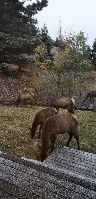 176 Game Trail Road, Bozeman, MT 59715 photo 71