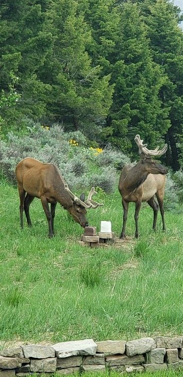 176 Game Trail Road, Bozeman, MT 59715 photo 74
