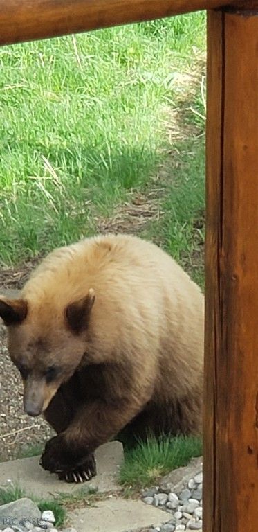 176 Game Trail Road, Bozeman, MT 59715 photo 75