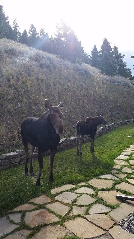 176 Game Trail Road, Bozeman, MT 59715 photo 79