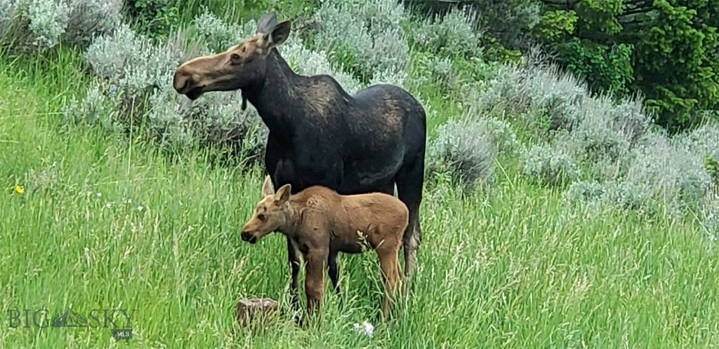 176 Game Trail Road, Bozeman, MT 59715 photo 81